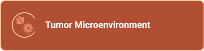 Tumor Microenvironment 